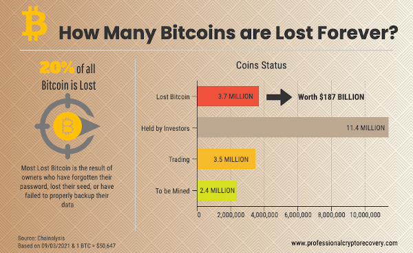 Lost Bitcoin